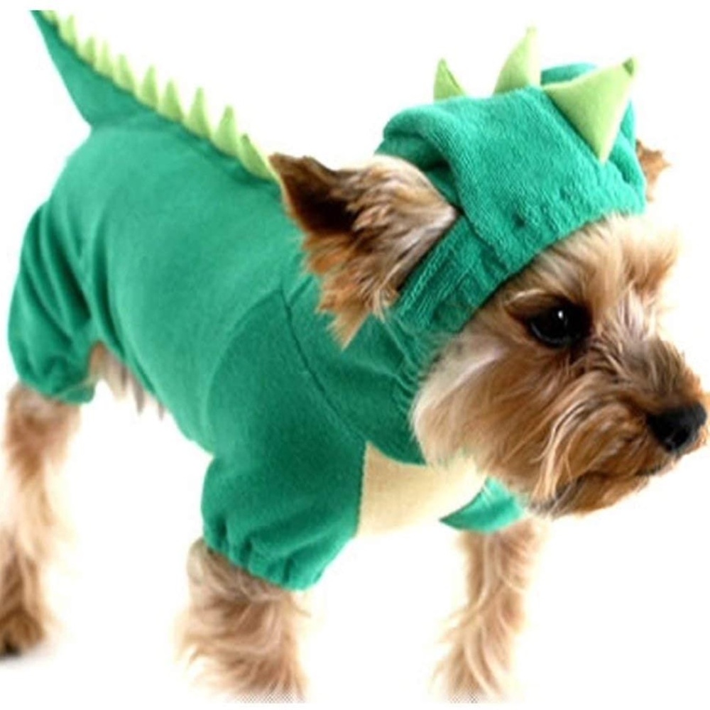Dog Dinosaur Halloween Costume